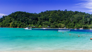 Borneo Website 3