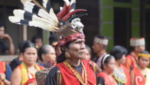 Borneo website 2