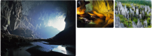Borneo website 4